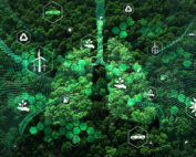 pilotage de l'analyse environnementale