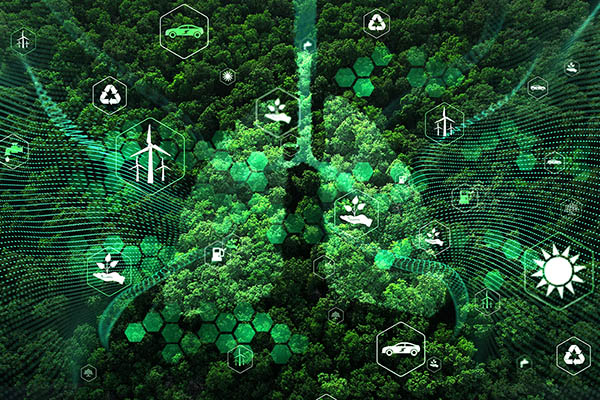 pilotage de l'analyse environnementale