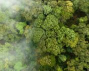 facteurs d'émissions carbone