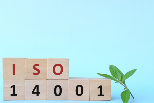 definition de l'analyse environnementale